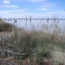 Kerang Wetlands Ramsar Site