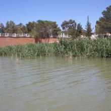 barrage de Boughezoul 