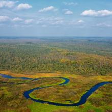 The left bank of the upper reaches of the Berezina River is occupied by a huge forest-swamp massif with a predominance of natural complexes undisturbed by man. 