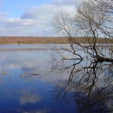 During the spring flood period the Berezina River floods the whole floodplain and surrounding swampy forests; the flood reaches a width of 2-4 km.