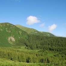 A sedge-moss bog “Tsybulnyk” under Mount Breskul 