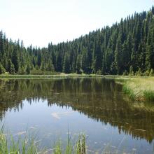 Highland middle- forest lake Maricheika