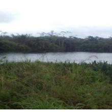Lac Diboundi dans les environs du village Bangondo 2