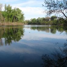 An oxbow lake of the river Tisza at Mártély An oxbow lake of the river Tisza at Mártély