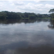 La rivière Kouyou en amont (vers Ngoko)