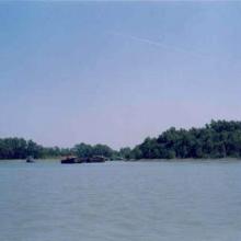 A view of Sundarban Mangrove forest of Bangladesh