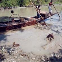 Fishermen are catching fish with the help of Otter (Lutra percipicilata) in the Sundarbans of Bangladesh