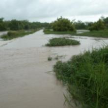 CAP/PONASI inondé par le Nazinon