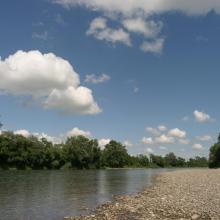 Upstream character of the Upper Tisza near the state border, with gravel shores and softwood gallery forest. Upstream character of the Upper Tisza near the state border, with gravel shores and softwood gallery forest.