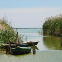 L’Albufera. Barcas tradicionales de pesca (albuferencs) L’Albufera. Barcas tradicionales de pesca (albuferencs)