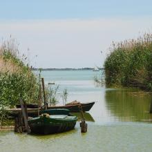 L’Albufera. Barcas tradicionales de pesca (albuferencs)