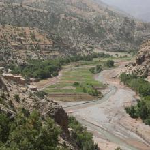 Oued Lakhdar : cultures irriguées en plein lit majeur de la rivière