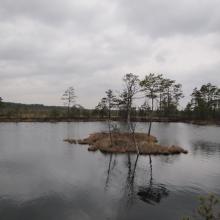 Tolkuse Bog Tolkuse Bog