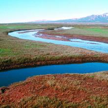 Salt marsh of Qaamassoq/Flakkerhuk.