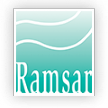 Ramsar logo Ramsar logo